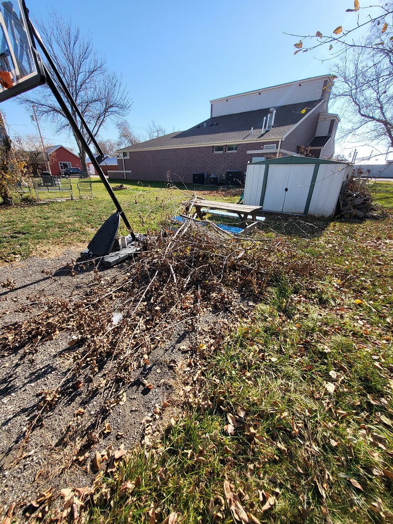 basketball net and tree debris in yard, yard waste debris removal, cedar rapids ia, kj haul away