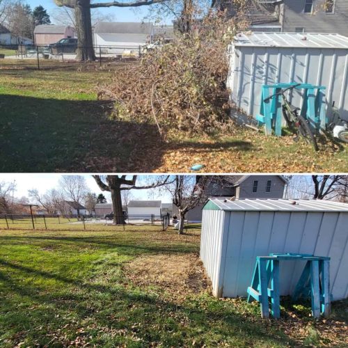 Yard Waste Removal in Iowa City