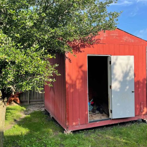 Shed Demolition