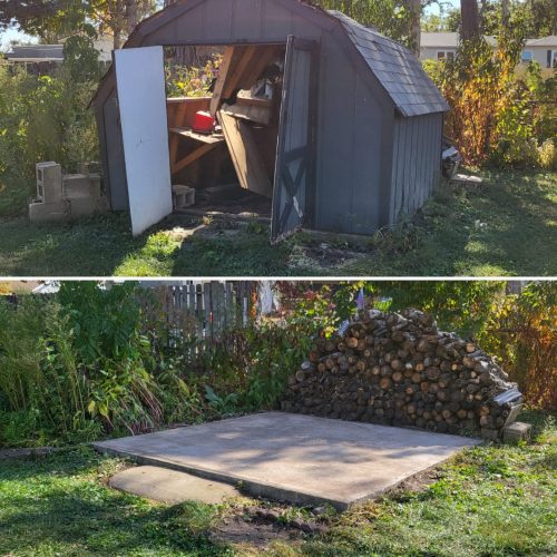 Shed Removal