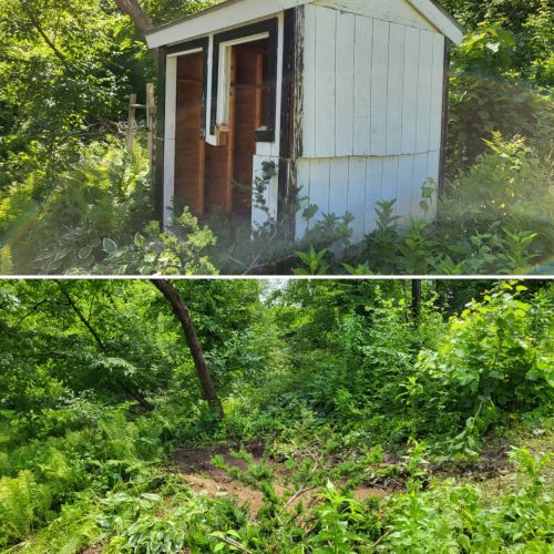 Shed Removal