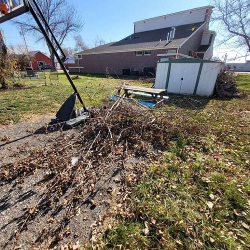 basketball net and tree debris in yard, yard waste debris removal, cedar rapids ia, kj haul away